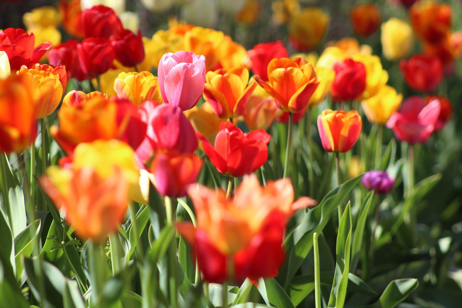 7 Secrets to Spring Clean Your Marketing Efforts