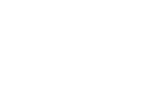 Nelson Ace Hardware Logo