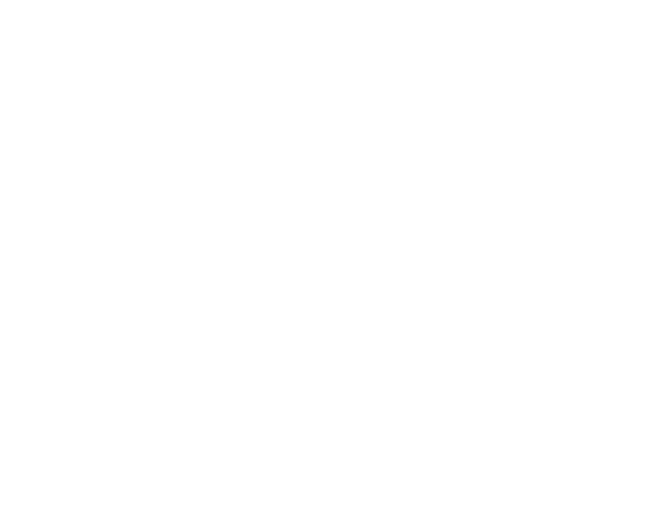Spirit of Ethan Allen Logo